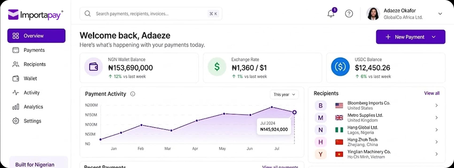 Importapay dashboard overview